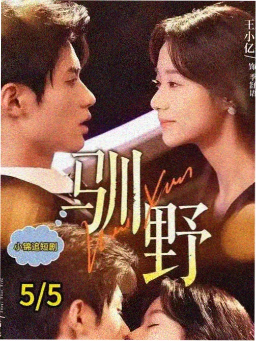 潮汐表纪录片封面：退潮滩涂与搁浅渔船